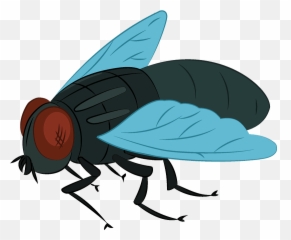 Fly Clipart - Cartoon House Fly Clipart Emoji,Flies Emoji