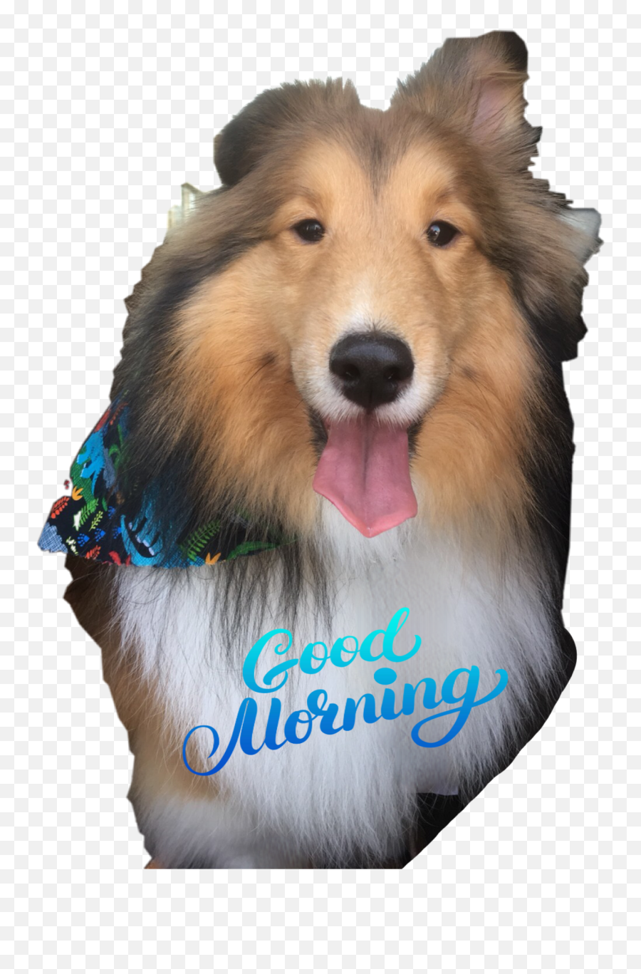 The Most Edited - Rough Collie Emoji,Sheltie Emoji