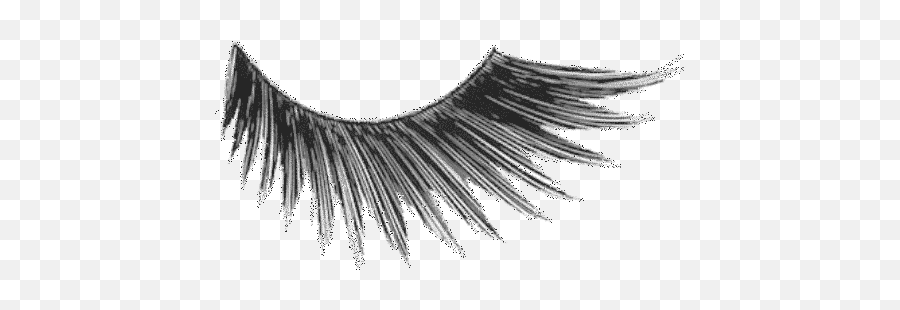 Free Transparent Eyelash Png Download - Kryolan Wimpers Emoji,Emoji With Eyelashes