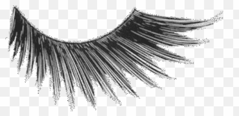 Free Transparent Eyelash Png Download - Kryolan Wimpers Emoji,Emoji With Eyelashes