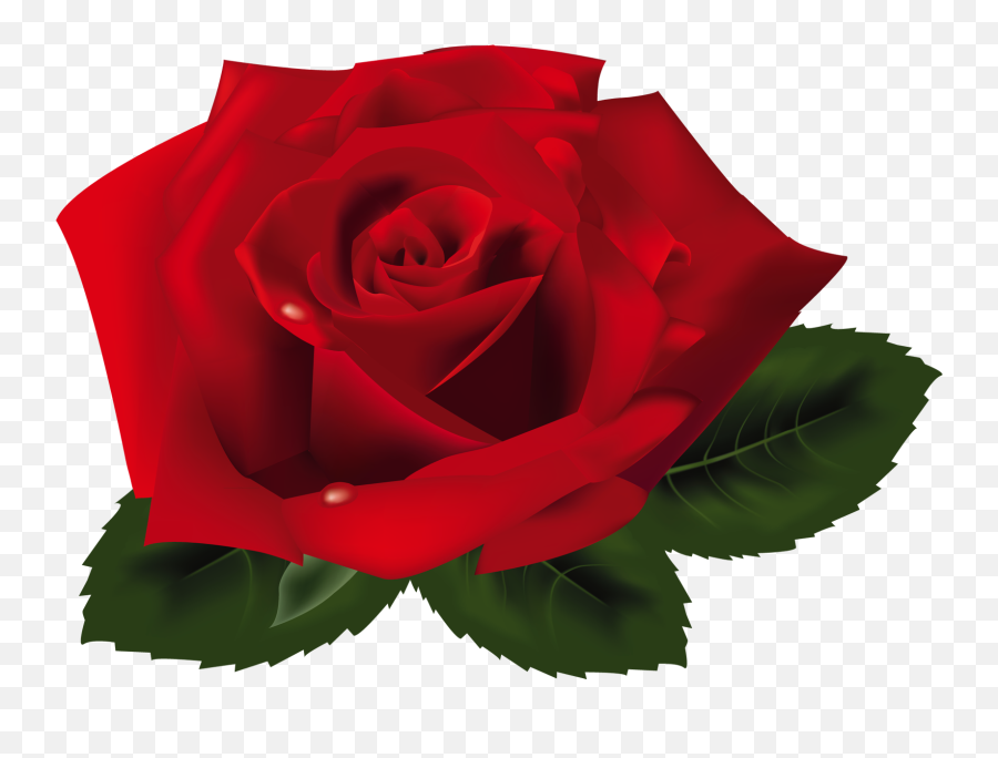 Free Pink Rose Transparent Background - Roses Png Clipart Emoji,Heart Emoji Ong