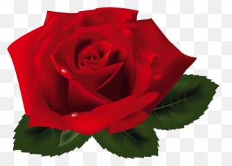Free Pink Rose Transparent Background - Roses Png Clipart Emoji,Heart Emoji Ong