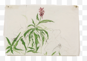 Tamara Al Samerraei Layers Of Reading At Marfau0027 Gallery - Sketch Emoji,Zouk Emotion