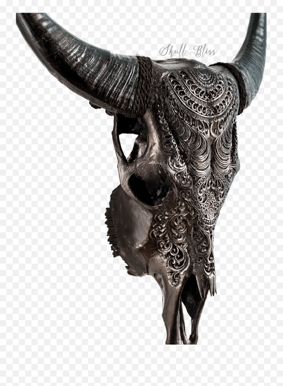 Carved Cow Skull - Carved Cow Skull Emoji,Cow Showing Emotion