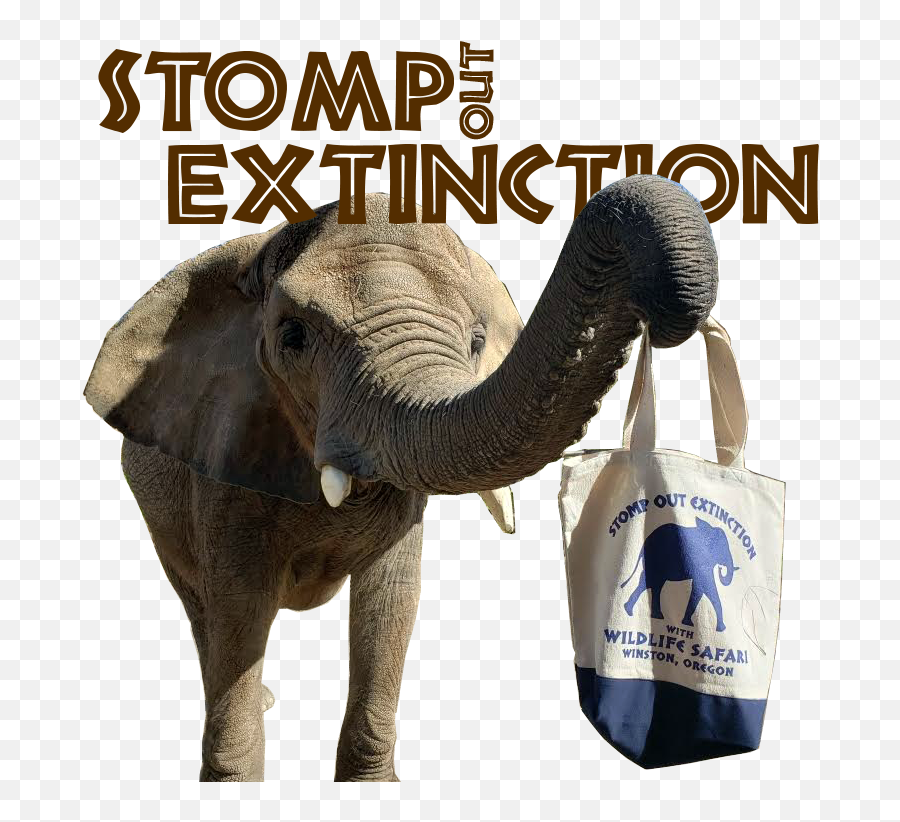 Animal Arts Emoji,Elephants Emotions Oregon