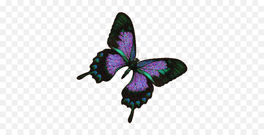 Glitter Gif Picgifs Butterfly 4521277 - Cutei Baby Girl Gifs Emoji,Facebook Status Emoticon, Butterfly