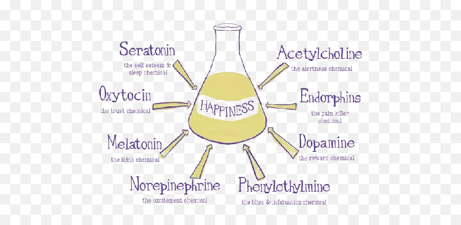 Why Is It That You Cant Be Happy All - Chemistry Of Happiness Emoji,Emotion Bliss Kayak