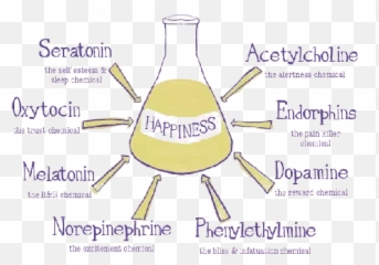 Why Is It That You Cant Be Happy All - Chemistry Of Happiness Emoji,Emotion Bliss Kayak
