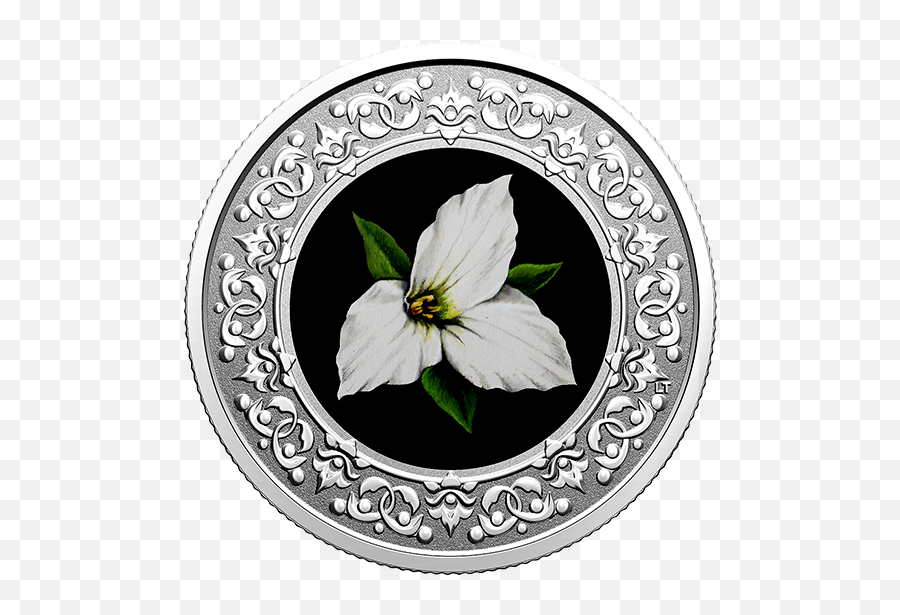 Floral Emblems Of Canada 13 - Coin Series Emoji,Black Flower Emoticon
