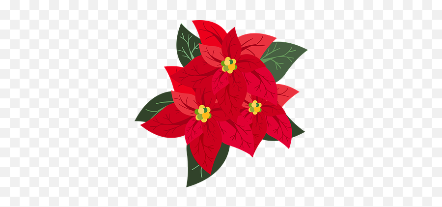 Free Red Flower Rose Vectors - Flor De Navidad Png Emoji,Poinsettia Emoji