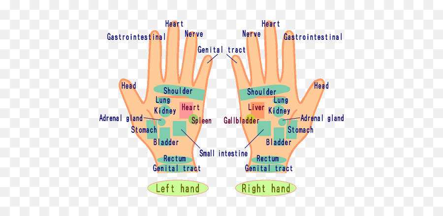 Alternative Health - Vital Points Of The Hand Emoji,Reflecology Chart Emotions Hands