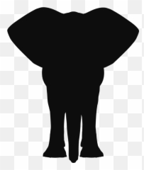 For The Love Of Books Classic Books For Munchkins Harold - Transparent Elephant Silhouette Clipart Emoji,Elephant Touching Dead Elephant Emotion