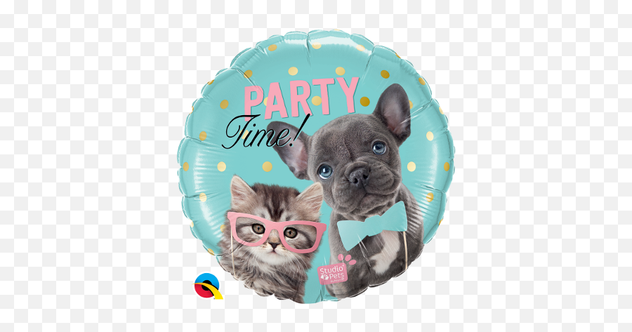 Cat U0026 Kitten Birthday Party Supplies Party Supplies Canada - French Bulldog Birthday Party Decorations Emoji,Blac Chyna Emojis Slapping Kylie