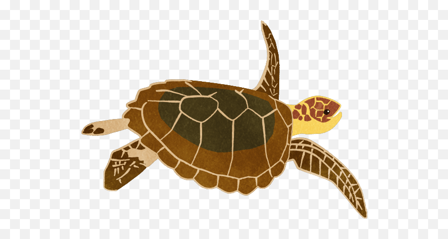 Set Of Sea Turtles - Sea Turtles Emoji,Official Turtle Emoji