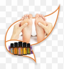Home - Bolest Chodidla Zespodu Pod Prsty Emoji,Reflexology Heel Emotions
