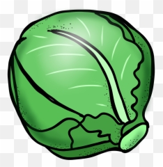 Lettuce Clipart Black And White Free - Cabbage Clipart Png Emoji,Lettuce Emoji