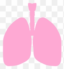 Black And White Lungs For Etched Panel Png Svg Clip Art For Emoji,Meditating Businessman Emoji