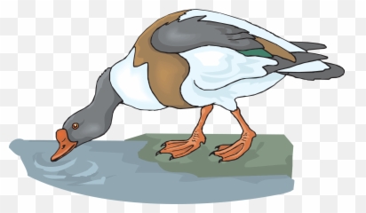Clipart Animal Drinking Water - Clip Art Library Clipart Animal Drinking Water Emoji,Drinking Water Emoji