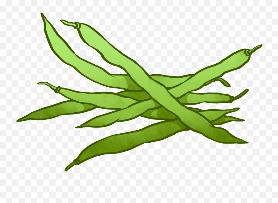 Plant Clipart String Bean Plant String - Green Beans Clip Art Emoji,Green Bean Emoji