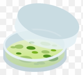 Petri Dish Objects Gif - Household Supply Emoji,Petri Dish Emoji