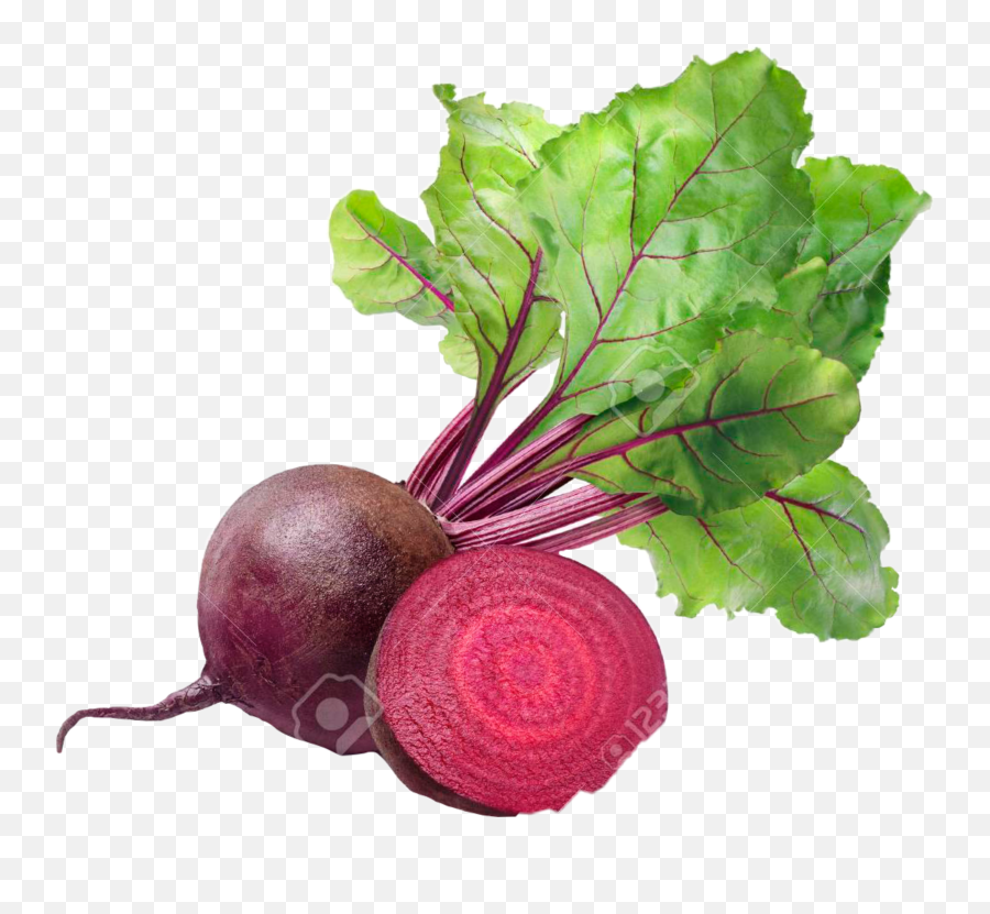 Largest Collection Of Free - Beet Root Images Hd White Background Emoji,Beet Emoji