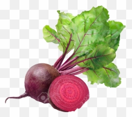 Largest Collection Of Free - Beet Root Images Hd White Background Emoji,Beet Emoji