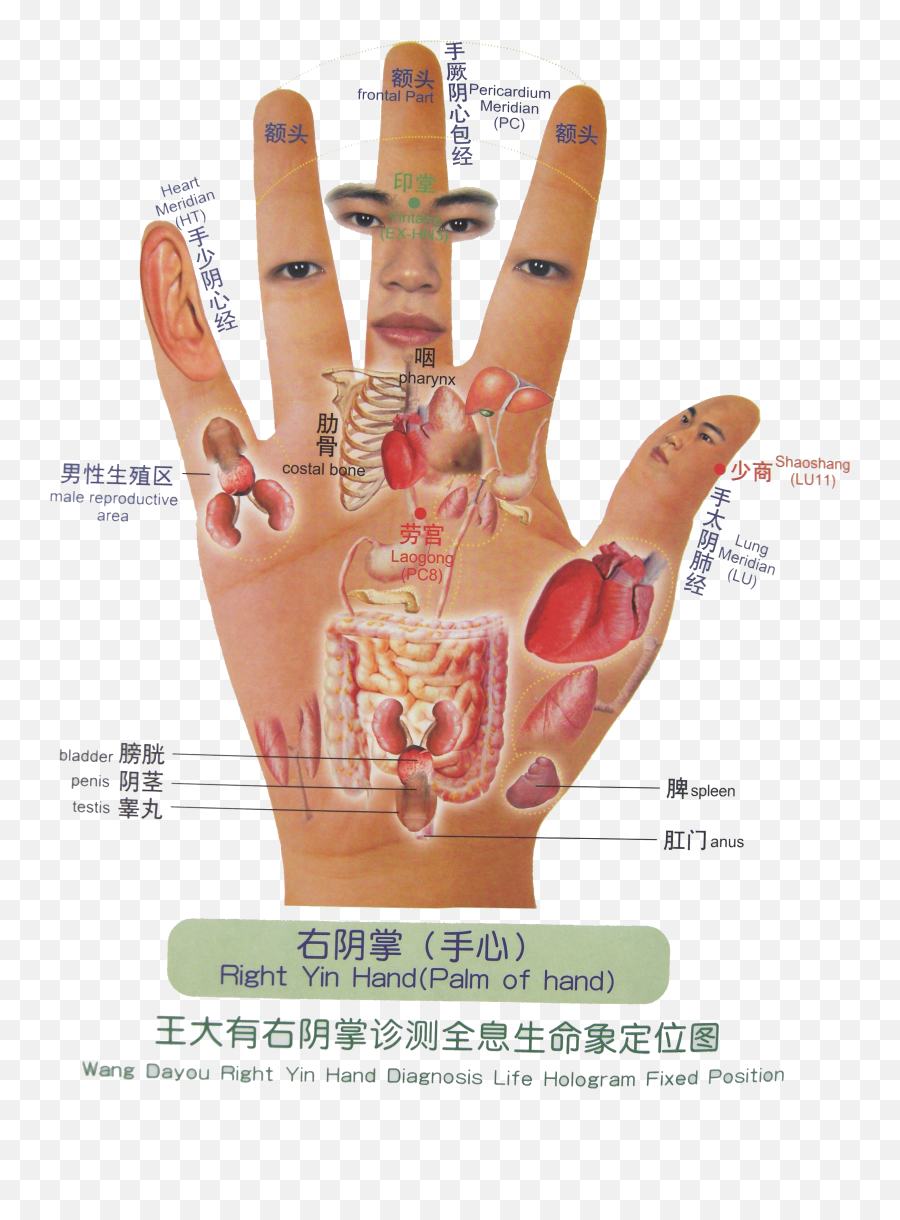 Tcm Diagnosis Emoji,Reflecology Chart Emotions Hands
