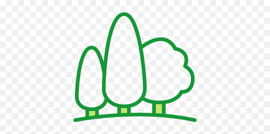Buy Trees Online - Fastgrowingtreescom Emoji,Picture Of Sweet Emotion Abelia In Garden