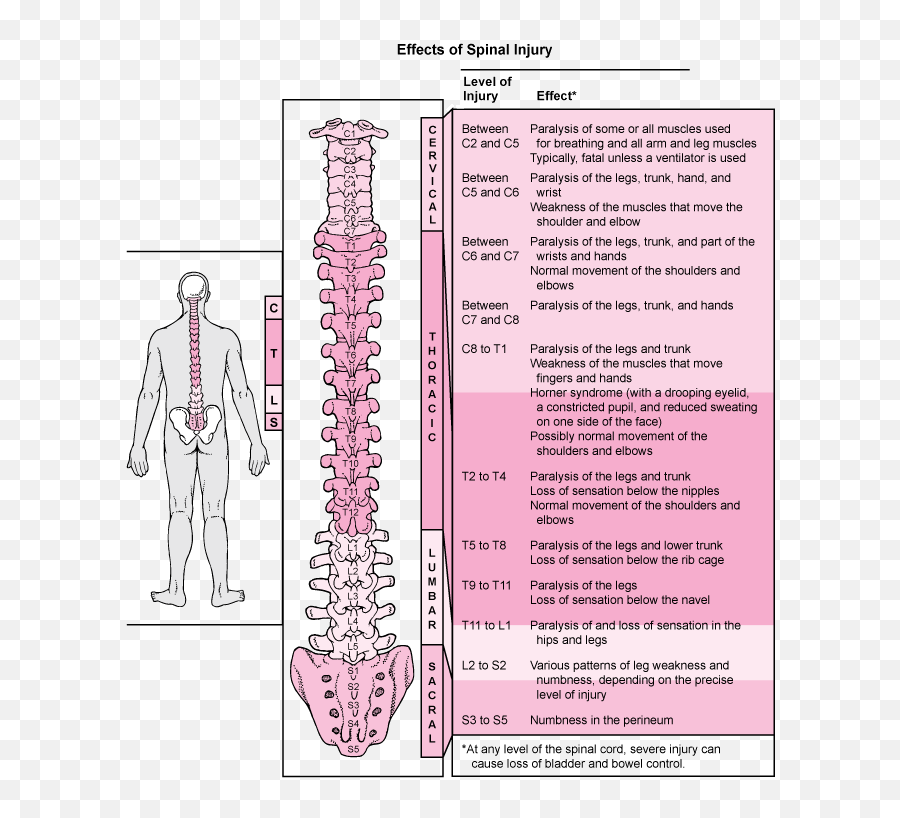 Spinal Cord Injury - Effects Of Spinal Cord Injury Emoji,Blue Oyster Cult Emojis