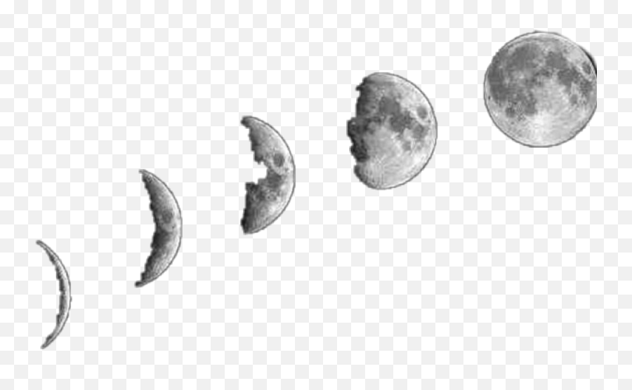 Moon Phases Sticker By Deirdre Jill Scott - Celestial Event Emoji,Moon Phase Emojis