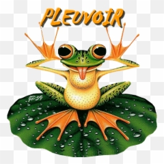 Pin - Frog Diamond Painting Emoji,Cartoon Unbelievable Emotion