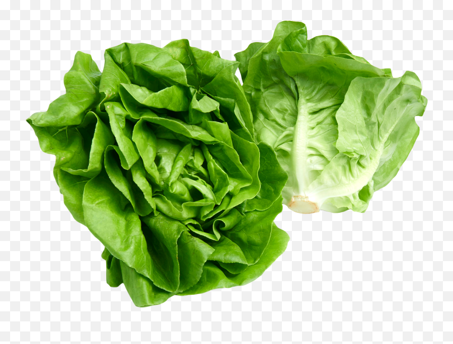 Lettuce Clipart Green Foods Lettuce - Lettuce Png Emoji,Lettuce Emoji