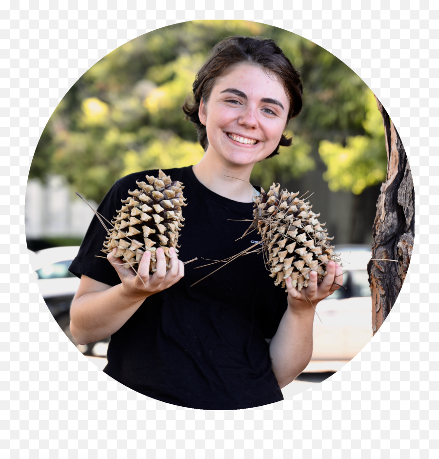 Teambrownstanfordprinctnteam - 2019igemorg Emoji,Pine Cone Emoticon