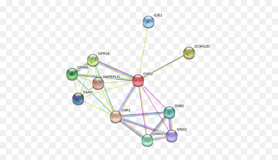 Cnr2 Protein Human - String Interaction Network Emoji,Treat (translational Research On Emotions, Addictions, And Trauma)