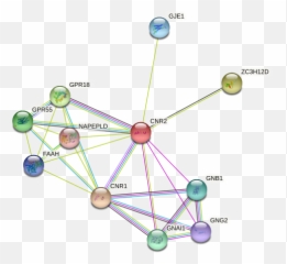 Cnr2 Protein Human - String Interaction Network Emoji,Treat (translational Research On Emotions, Addictions, And Trauma)