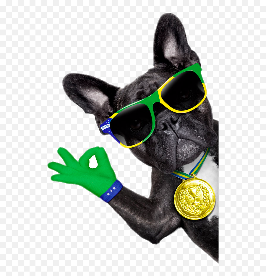 Download Sunglasses Bulldog Photography Dog French Royalty Emoji,Emoticon French Bulldog