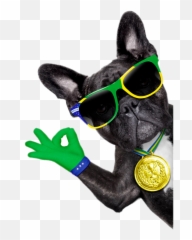 Download Sunglasses Bulldog Photography Dog French Royalty Emoji,Emoticon French Bulldog