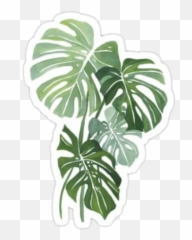 Plants By Lisadewayani - Sticker Maker For Whatsapp Emoji,Houseplant Emoji