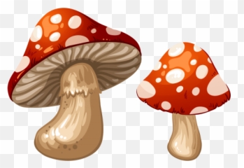Mushrooms Clipart Mushrooms - Mushroom Clipart Png Emoji,Mushroom Man Emoji