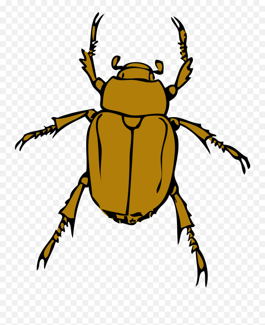 Bugs Clipart - Beetle Insect Clip Art Emoji,Sleep Ant Ladybug Ant Emoji