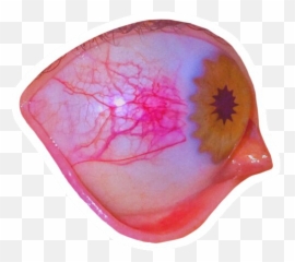 The Most Edited - Art Emoji,Eggplant Emoji Veins