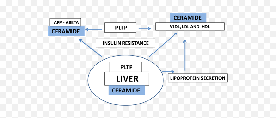 Links Between Insulin Resistance - Vertical Emoji,Emotion Regulation Tasks Gandy Et Al 2014