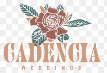 Maui Engagement And Elopement Photographer Emoji,Hd Wallpaper Maui High Emotions