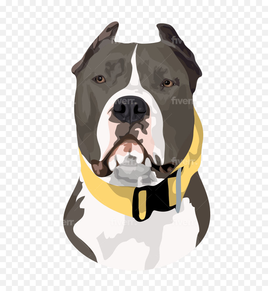 Draw Dog Cat Pet Portrait Vector Illustration By Aburn Fiverr - Pit Bull Emoji,Bull Terrier Emoticons
