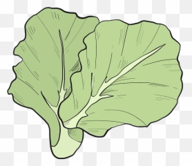 Lettuce Clipart - Wild Cabbage Emoji,Lettuce Emoji