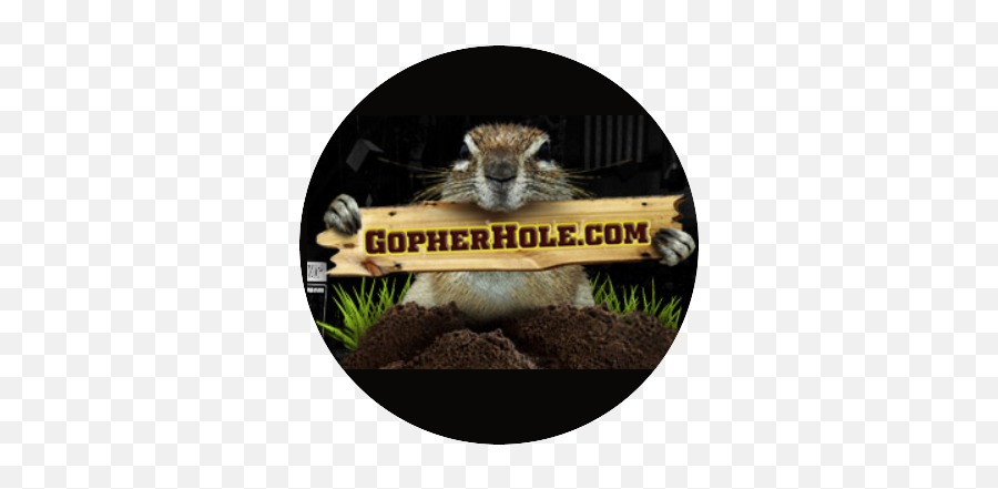 Four Things That Must Happen For Gophers To Win The Emoji,Emotions Chipmunk