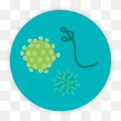 Diseases Caused By Improper Healthcare Waste Disposal Emoji,Animal Life Cycle Emotion Code