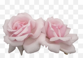 Pyzhov - Tumblr Blog Tumgir Emoji,Rose Emoji Cut & Paste
