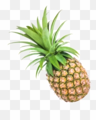 Elixirmonte Emoji,Green Emojis Nature