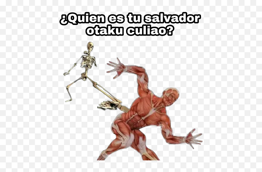 Esqueleto Antiotaku Bakau2022u2022 Stickers For Whatsapp - Esqueleto Anti Otakus Sticker Emoji,Baka Emoji